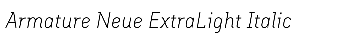 Armature Neue ExtraLight Italic